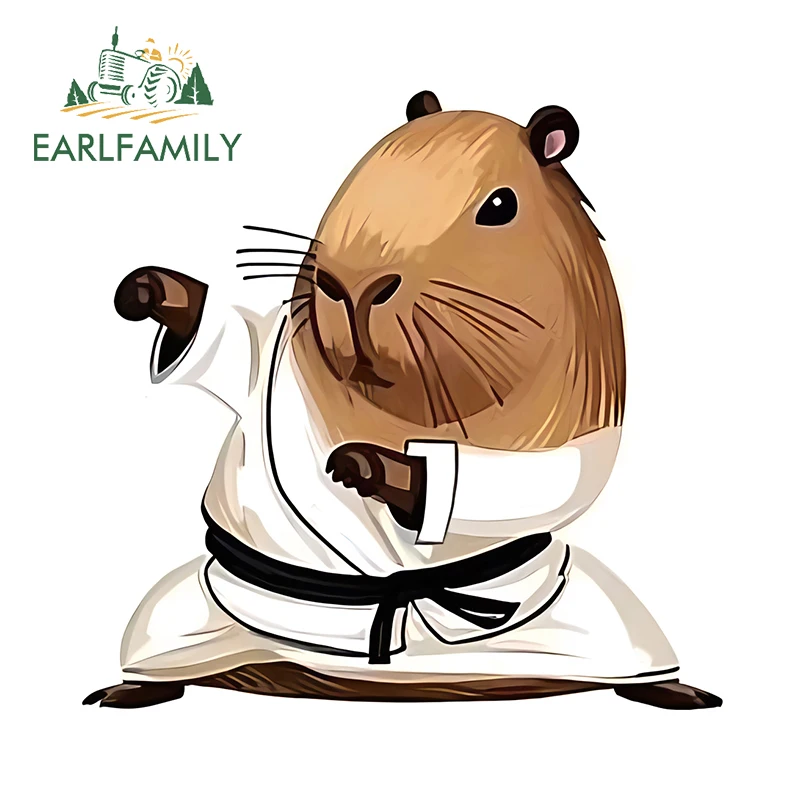 EARLFAMILY 13cm × 12.6cm Kung Fu Guinea Pig Car Stickers Lovely Cartoon Graffiti Decals Nice Waterproof Car Body Accessories