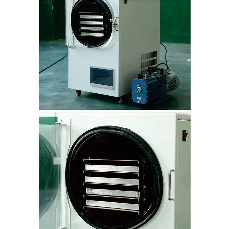 Multi‑Functional Household Vacuum Freeze Dryer Lyophilizer Small Size for Pet Snacks Fruits Vegetables Meat Freeze‑Dried Food