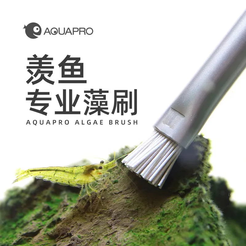 

Fish tank aquarium landscaping stone cleaning brush algae brush water grass landscaping brush cleaning stone algae on wood