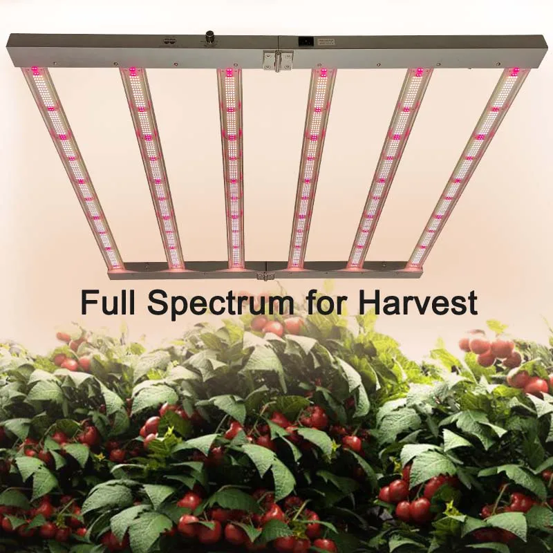 أوروبا الأسهم الضريبة الحرة الطيف الكامل Led تنمو ضوء 320 واط 480 واط 720 واط 1000 واط سامسونج Led البستنة النبات تنمو ضوء لخيمة 4x4