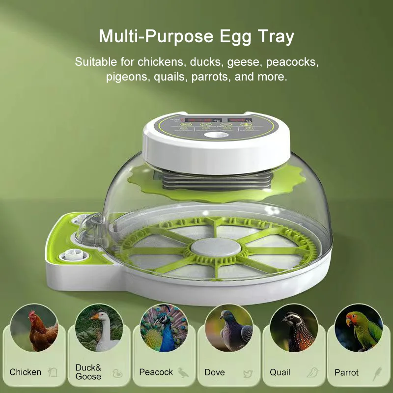 

Mini Poultry Hatcher Small Home Egg Incubator Automatic Digital for Chicken Duck Smart Control Turner 3-in-1 Stable Even Heating
