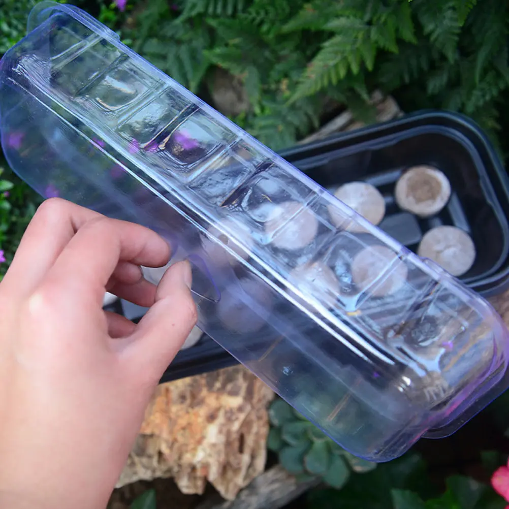 6Sets Seedling Tray Starter Kit Plastic 12 Cells Nursery Box Transparent Lid Mini Greenhouse Sprouting Plant Growing Container