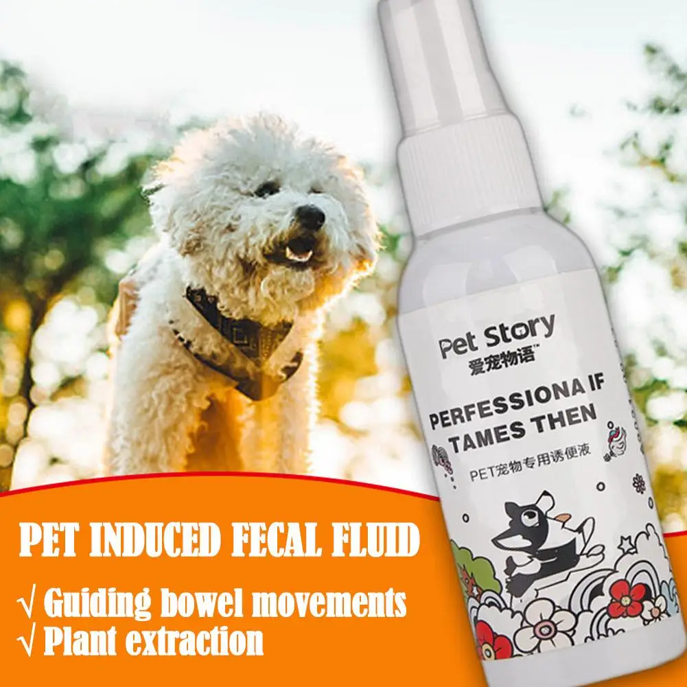 Pet Training Toilet Inducer Cats Puppy Pee Defecation Kitten Indoor Defecation Dogs Pets Positioning Agent Defecation Pract M7b6