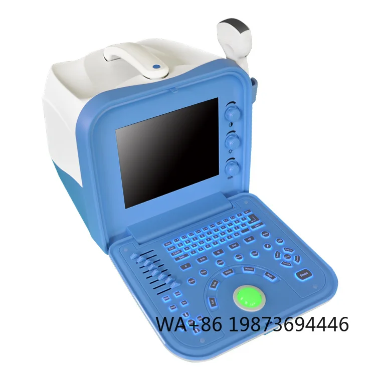 Portable Veterinary Ultrasound Pet Animal  And Internal Organ Diagnostic Examination