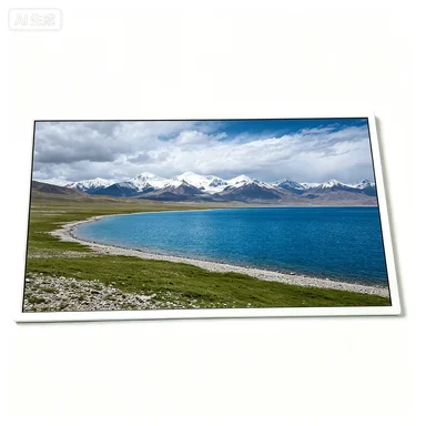 NL8048BC24-12  9.0 inch 800*480 Resolution LCD panel fast shipping