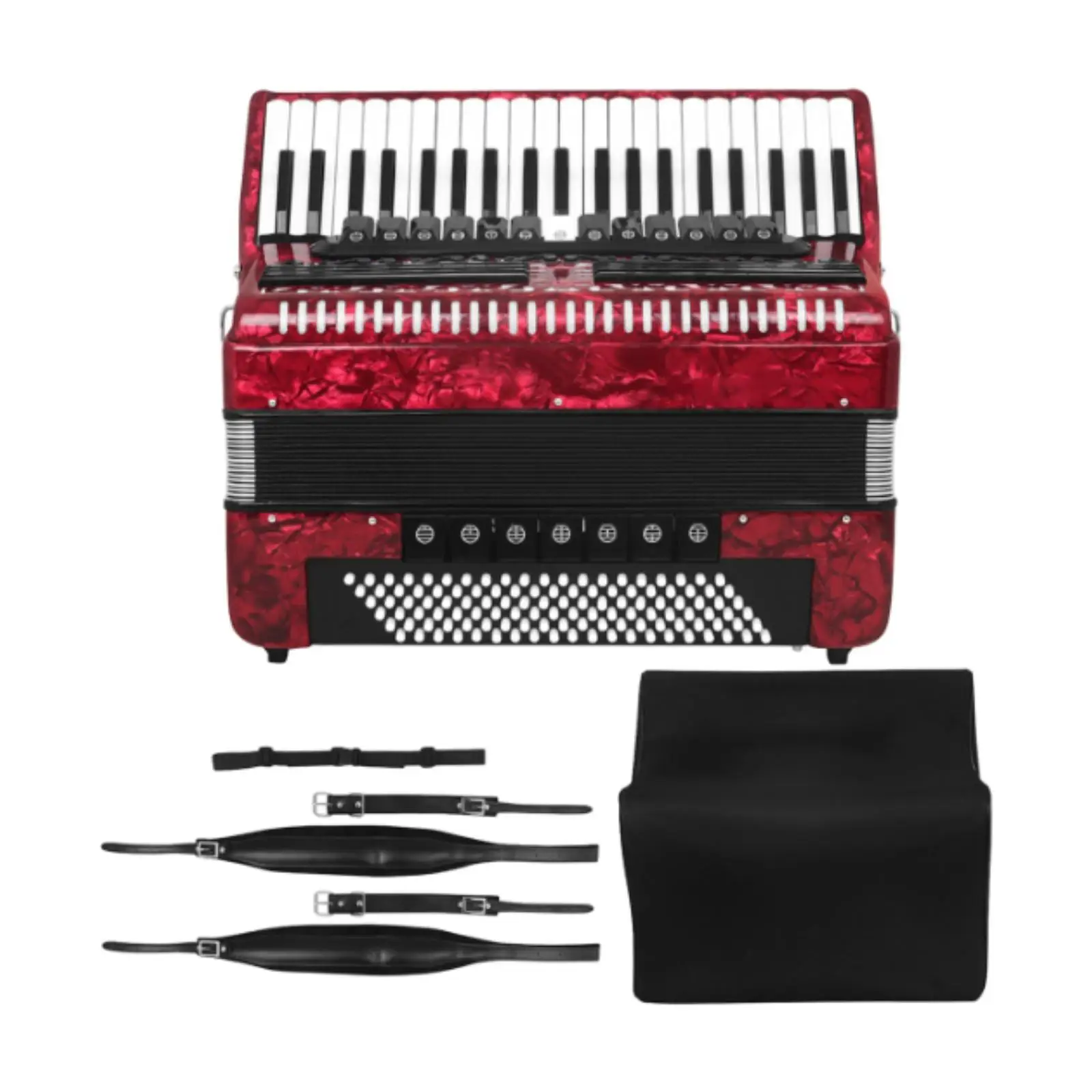 Accordion 120 Bass 41 Keys Portable Piano Accordion for Adults Birthday Gift