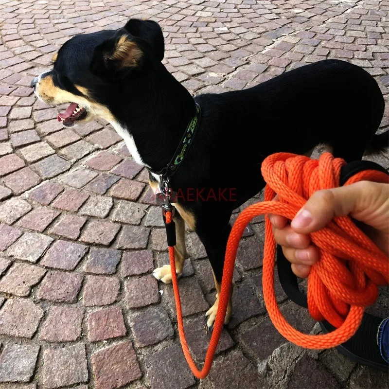 Dog leash tracking recall training dog leash 15 meter extended outdoor dog walking leash tied dog chain orange