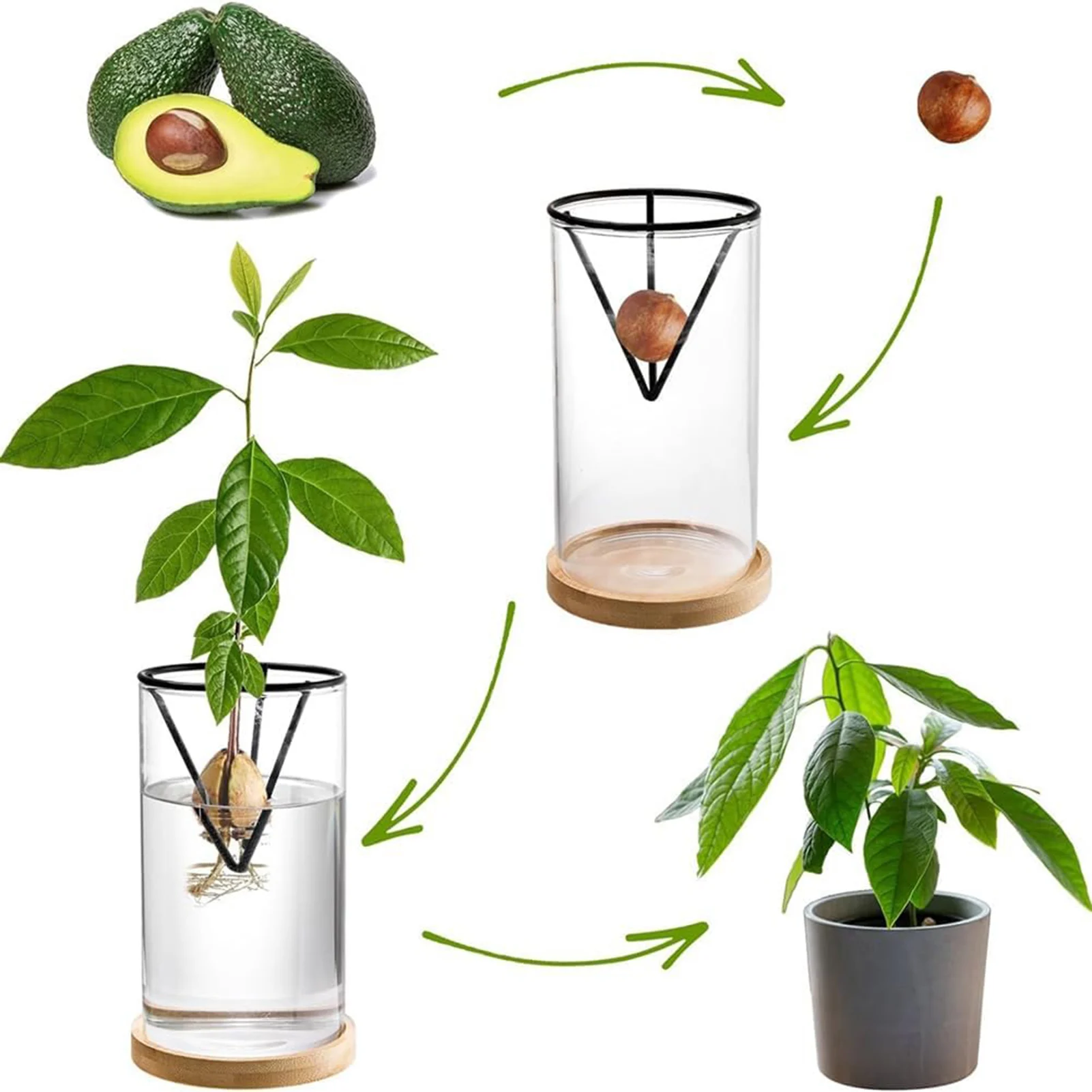 Hydroponic Glass Avocado Seed Vase Avocado Growing Triangular Holder With Triangle Bracket And Bamboo Base Sprouting Plant Pot