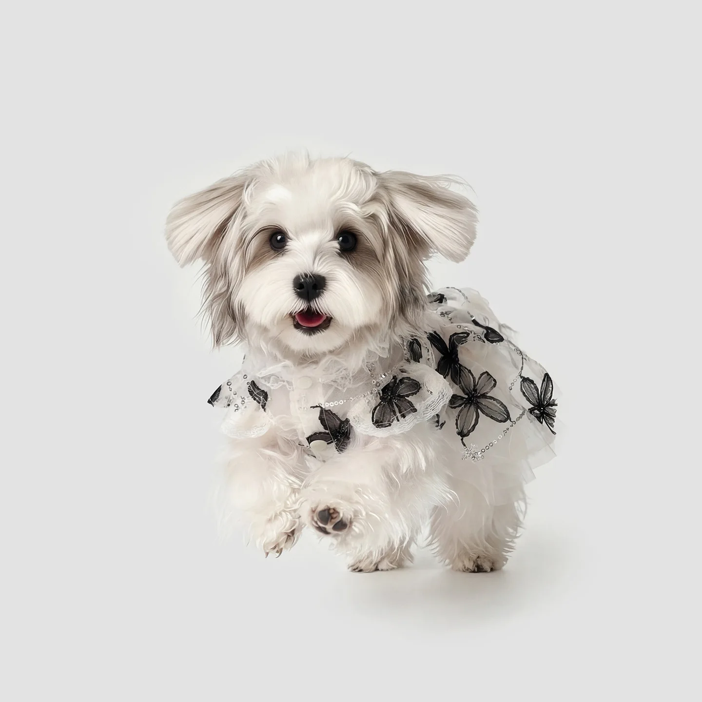 Ropa de malla bordada para perros Yorkshire: chaleco vestido princesa - imagen 2