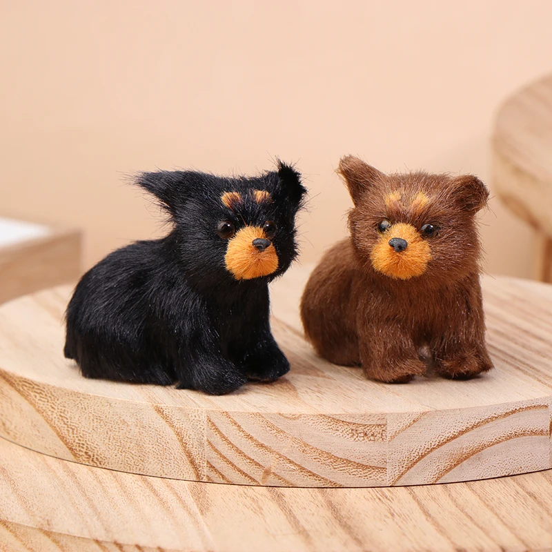 Cute Simulation Bro…