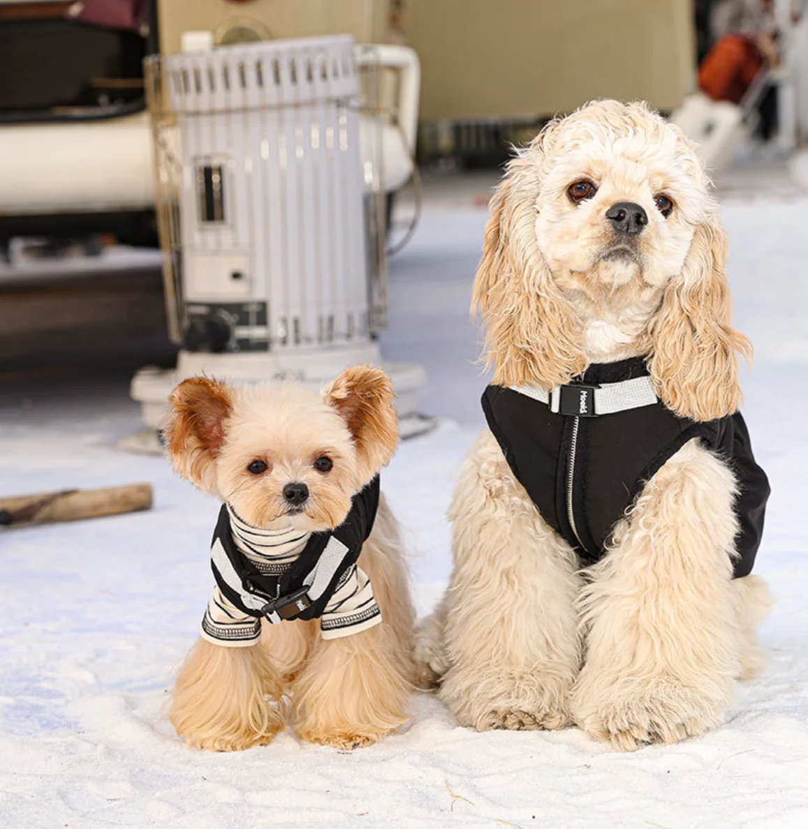 

Warm Sweater for Pet, Dog Clothes, Spring and Autumn Coat