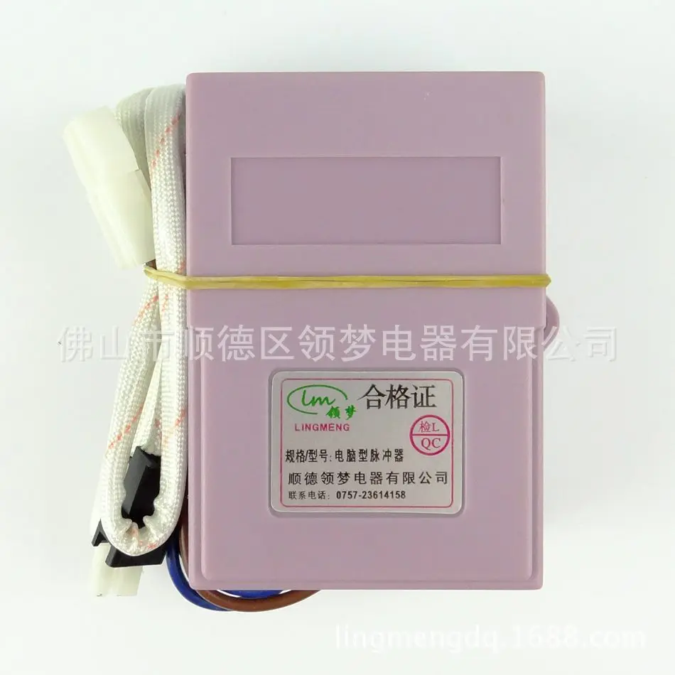 Pulse Igniter Temperature Control Gas Water Heater Parts Double Ignition Pulse Igniter Controller