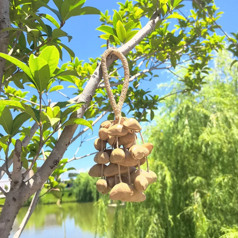 

Natural Nut Shell Hand Bell Meditation Mindfulness Hand Bells Spiritual Relaxation Bells Yoga Sound Healing Musical Instruments