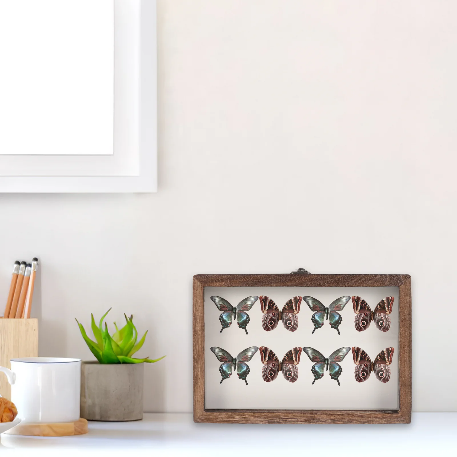 

Display Case Insect Box Dried Flower Storage Photo Frame Butterflies Specimen Vintage Coffee Child