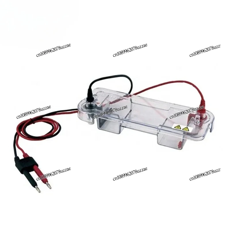 Vertical Gel Electrophoresis Tank Apparatus