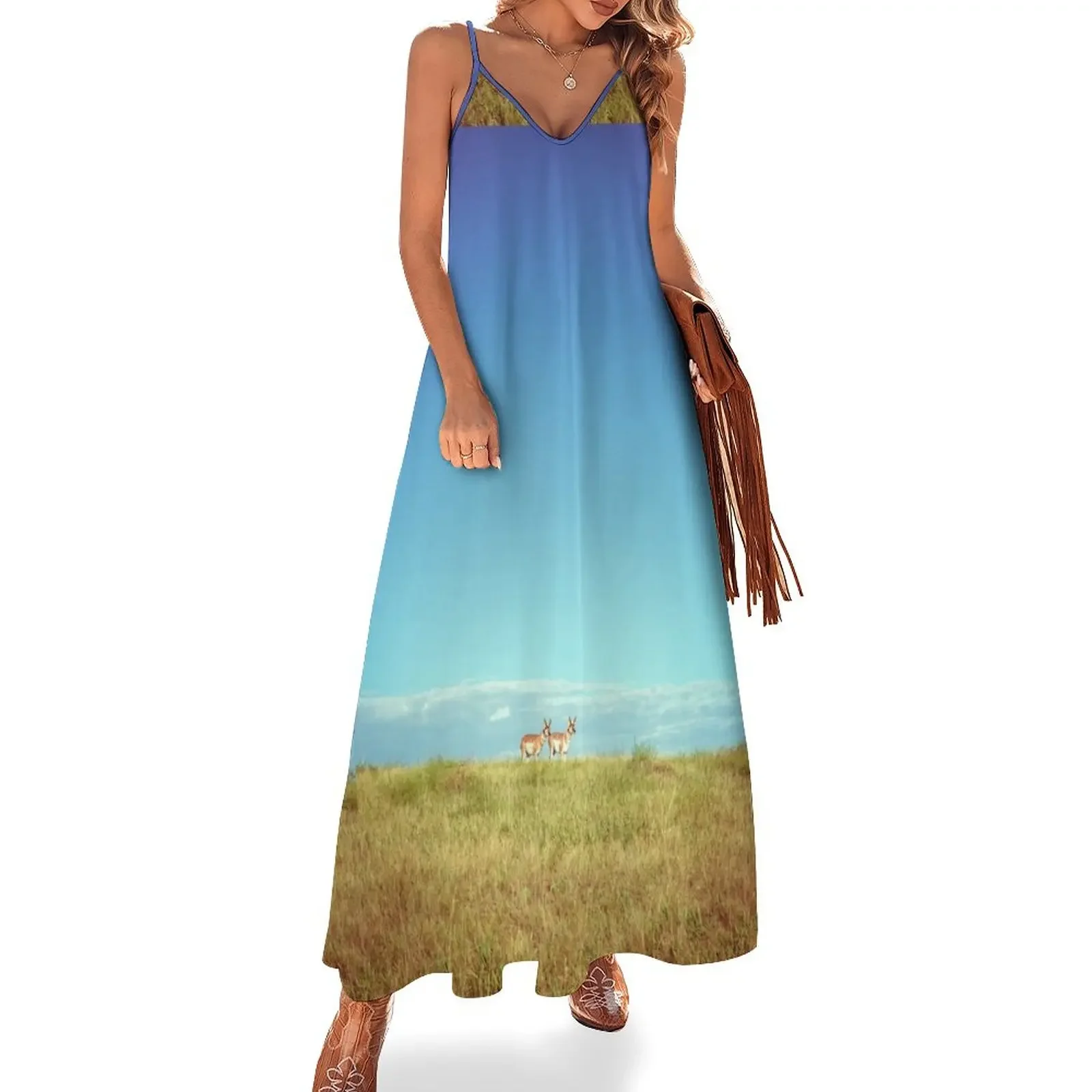 

Badlands Antelope Sleeveless Dress Cocktail of dresses loose summer dress women dresses Female clothing