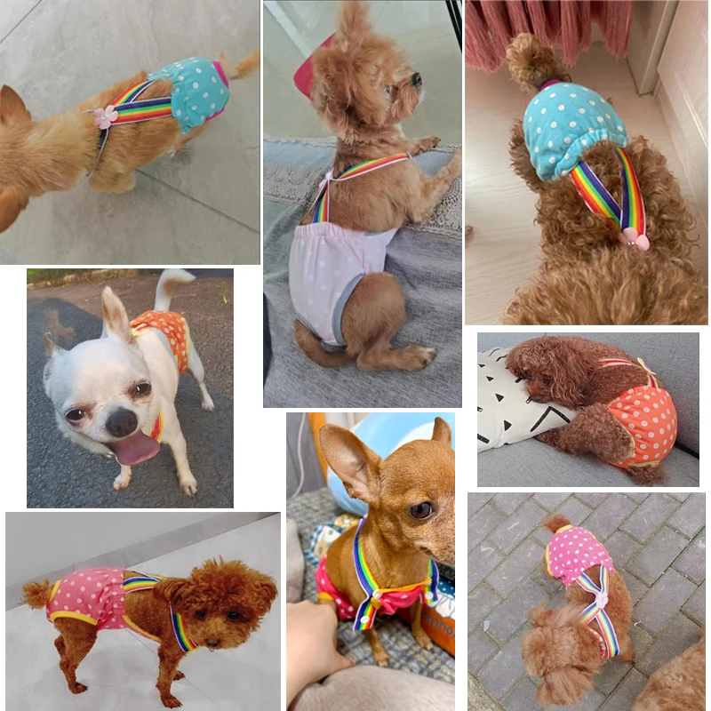 

Dog Suspenders Physiological Pants Teddy Golden Retriever Menstrual Dog Hygiene Diapers Anti-harassment Estrus Pet Aunt Pants