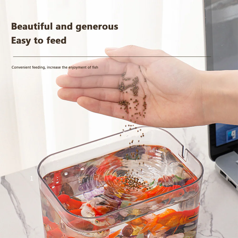 Fish Tank With Lid Small Transparent With USB Air Pump Fish Breeding Box Ecological Aquarium Living Room Home Office Desktop