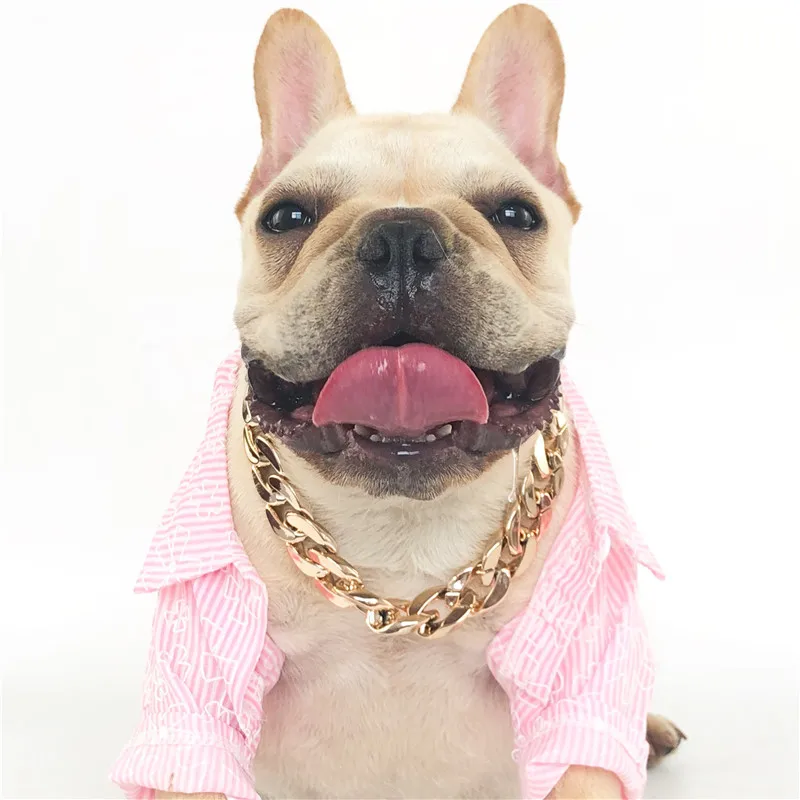 37cm Dog Gold Chain Acrylic Chain Buckle Teddy Pug Pug Small and Medium Dog Collar Pet Necklace Jewelry