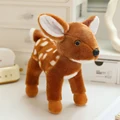 Fawn