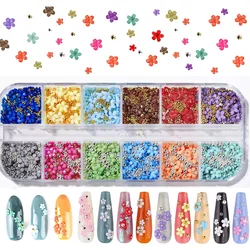 12Grids 3D 5-Petal Flower Nail Charms 3mm 6mm Acrylic Flower Mixed Steel Beads Gems Kawaii Nail Supplies For Manicure Decoration