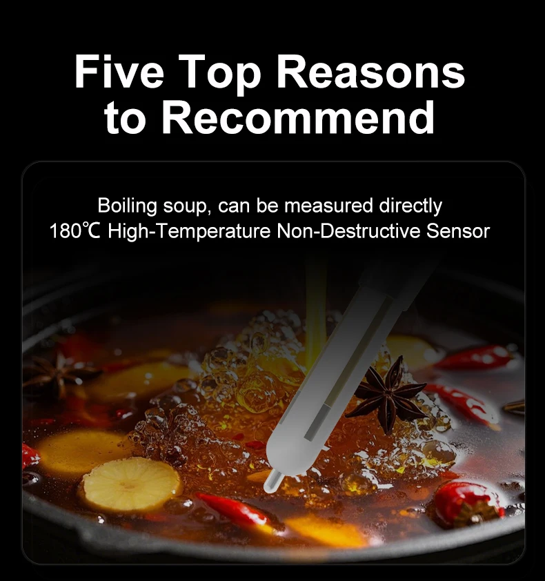 

TULX Durable Ceramic Structure Boiling Brine Direct Testing High Efficiency Seasoning Control Tool for Kitchens Brine Analyzer