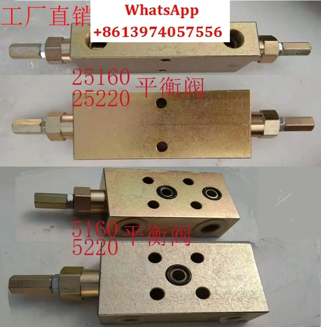 Hydraulic two-way balance valve 25160 25220A B cylinder lock engineering crane hydraulic lock motor cylinder valve