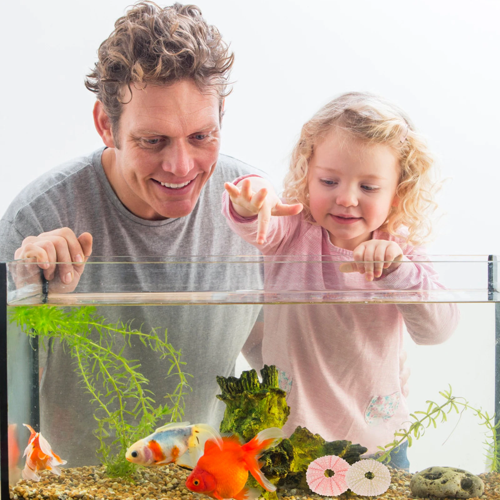 5Pcs Sea Shell Decorations Aquarium Fish Tank Home Office Desktop Accessories Crafts HighQuality Safe Material Rich Color