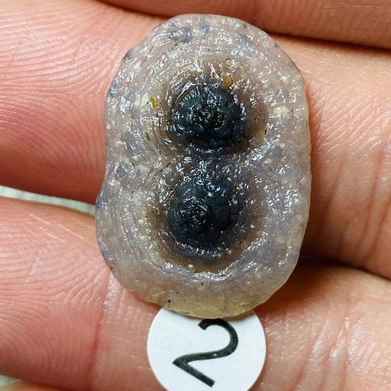 Pierre d'énergie naturelle, spécimen minéral, agate œil en forme de feuille, cristal de guérison pour la guérison des chakras, pierres énergétiques