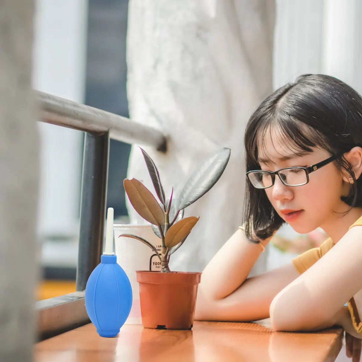 

6Pcs Planting Tool Set Succulents Bonsai Pot Novice Gardening Kit Mini Hand Shovel Brush for Indoor Small Plants