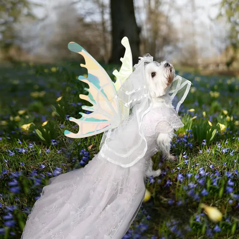 Summer Pet Princess Clothes Pet Dog Butterfly Wings Summer Dog Wedding Clothes Elf Wings With Music Light