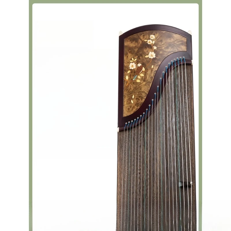 Art exam performance major test level 10 adult beginner entry red sandalwood guzheng piano