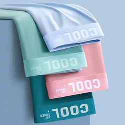 Boxers Ice Silk Man Underwear Graphene Men Underpants Breathable Comfortable Men's Panties Ultrathin Shorts Trunk Plus Size 6XL