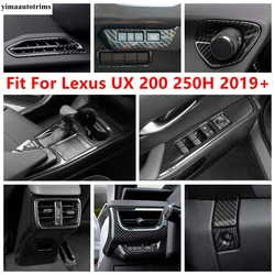 ABS Window Lift / Head Lamp / CD Panel / Gear Shift Frame Cover Trim Carbon Fiber Accessories For Lexus UX 200 250H 2019 - 2024