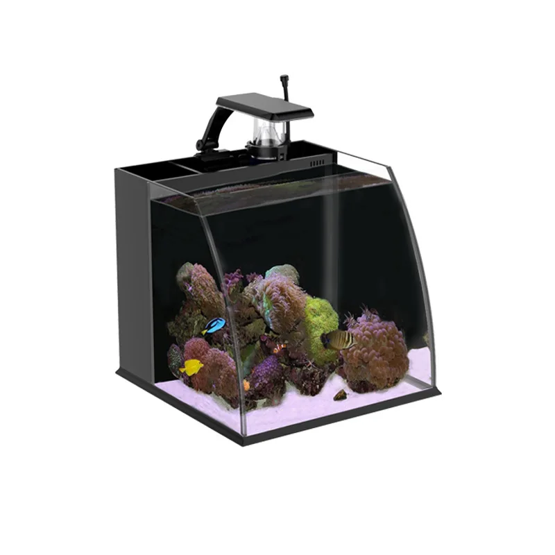 Small Mini Fish Tank Creative Square Egg Split Back Filter Desktop Office Home Seawater Tank