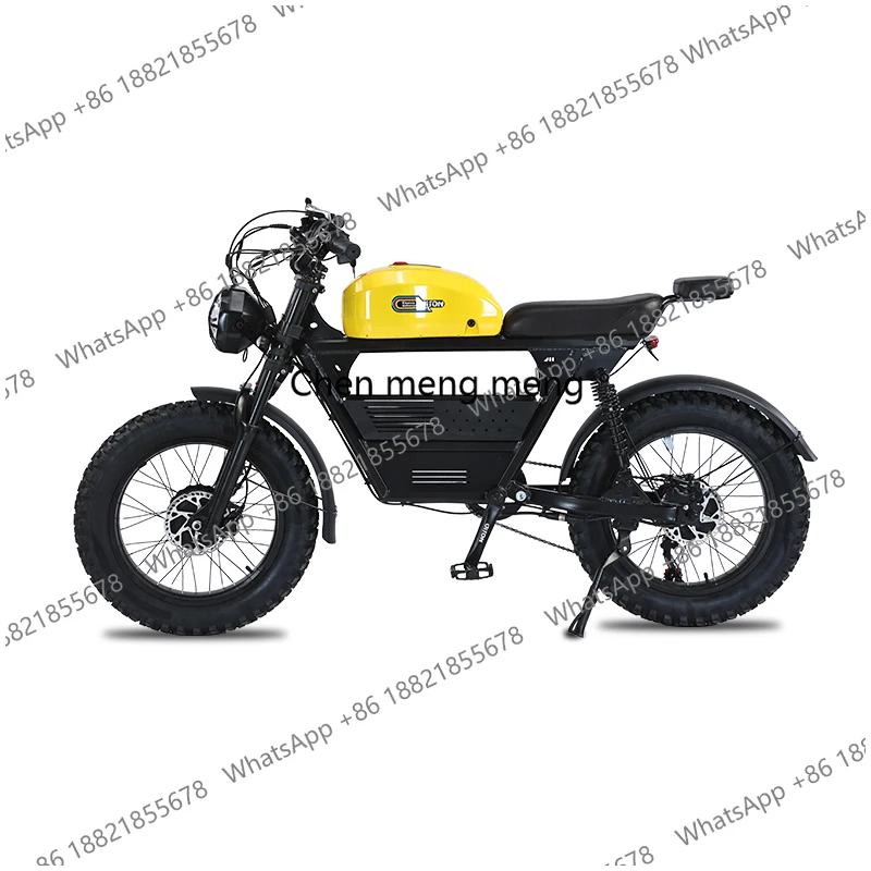 Hot Sale Wholesale 7 Speed Full Suspension Retro Ebike 3000w Fat Tire Electric Bike Bicycle-Electric Bike