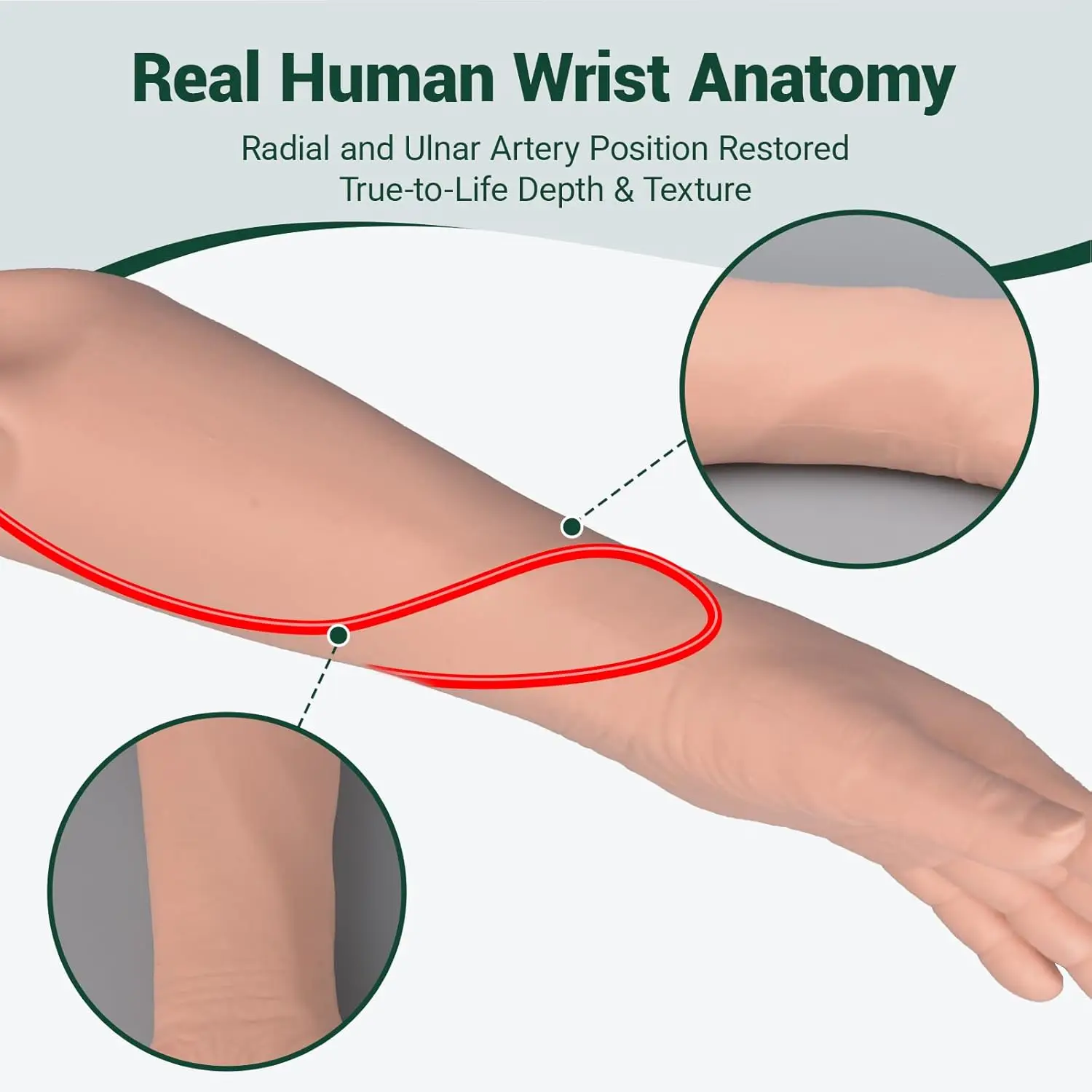Ultrassist Hand Radial Artery Puncture Training Model Simulated Blood Flow Arterial Pulsation Arterial Line for Nursing Medical