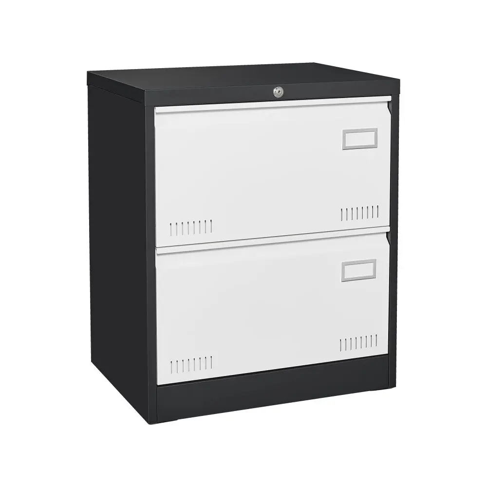 2 Drawer Metal Lateral File Cabinet with Lock,Office Vertical Files Cabinet for Home Office/Legal/Letter/A4,Assembly Required