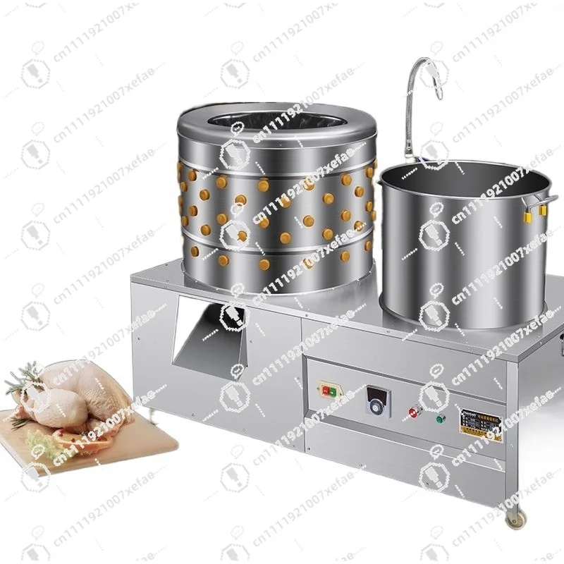 

Quail Chicken Feather Removal Stainless Steel Slaughter Motor Automatic Mini Poultry Plucking Machine