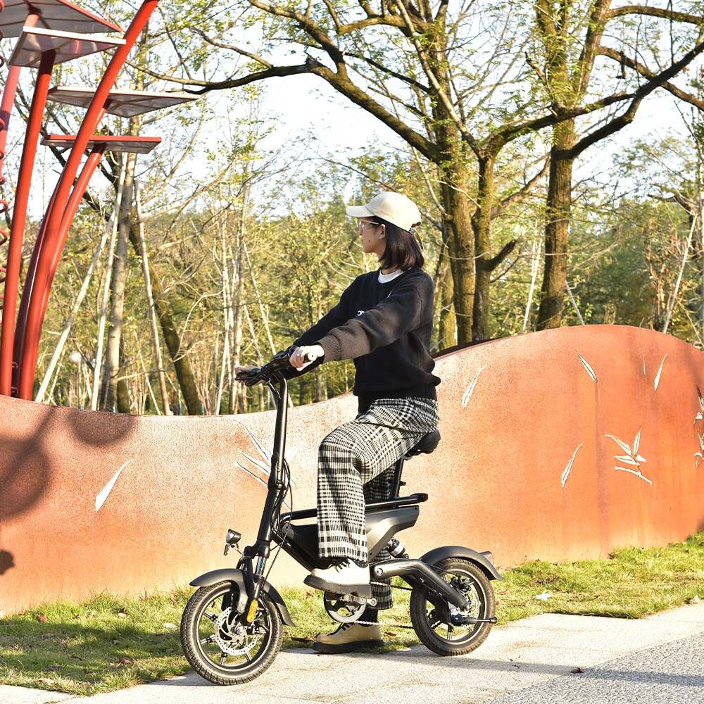 Dual Suspension Bike Bicycle Folding Electric Bike 1000w With Battery and Pedal Assisted