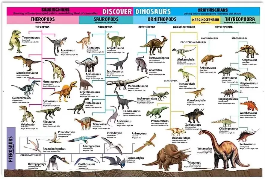 XianJinDu Dinosaur Knowledge Infographic Metal Signs Discover Dinosaurs Tin Posters Boy Education Learning Plaque Home Room sign