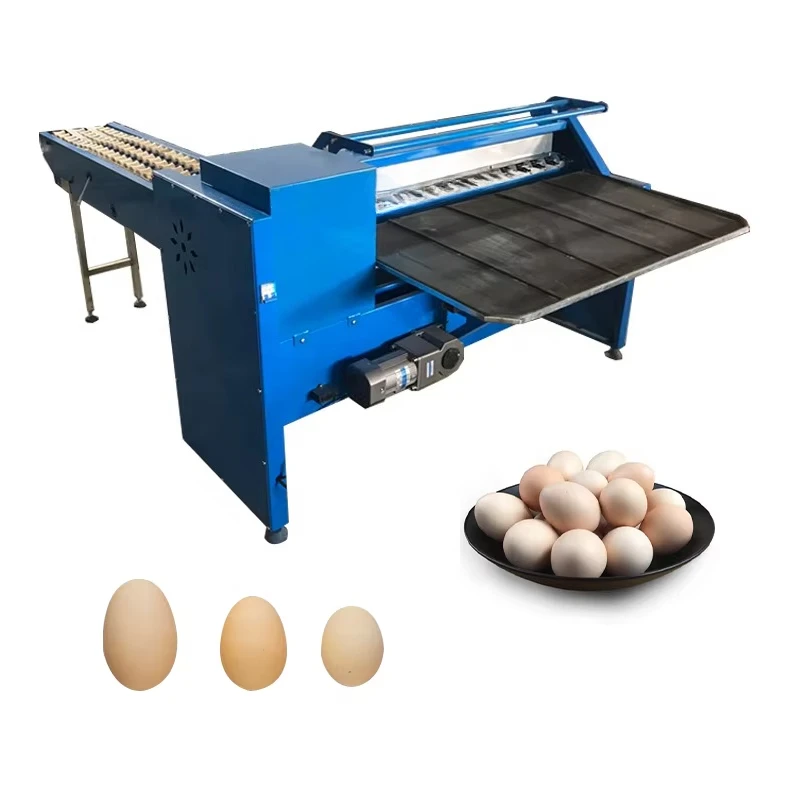 High Precision Egg Weight Sorting Machine / Small Egg Grading Machine / Egg Sorting Machine