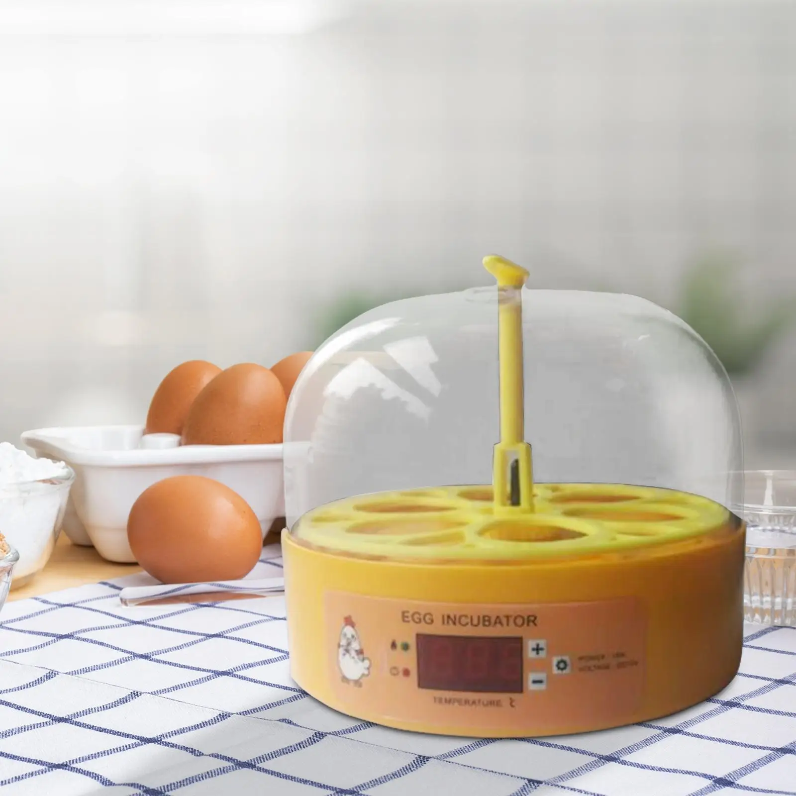 Inkubator do jaj Wtyczka EU Niezawodny mini inkubator do użytku domowego Jaja kurze