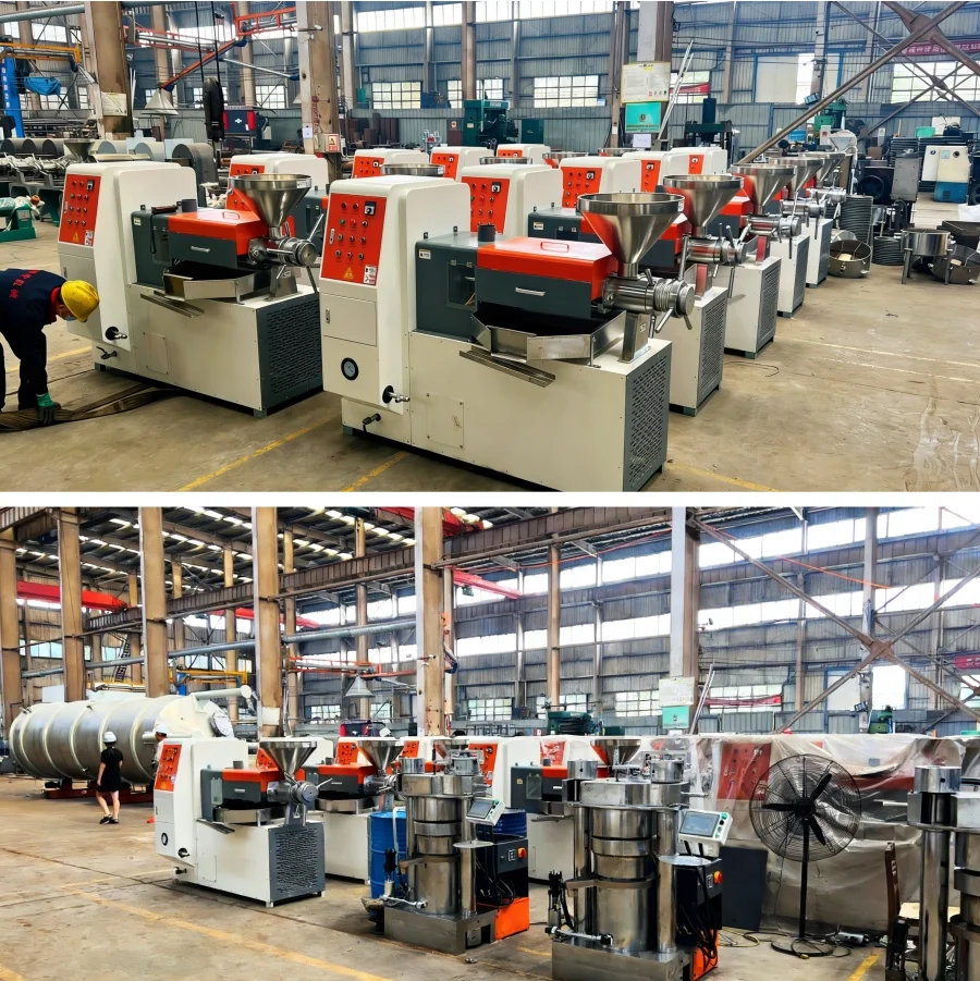 Bild 7: Hydraulische Kakaobohnen-Extraktionspresse Hydraulische Mangue-Ölpresse Kaltpressöl-Extraktor Extruder-Maschine