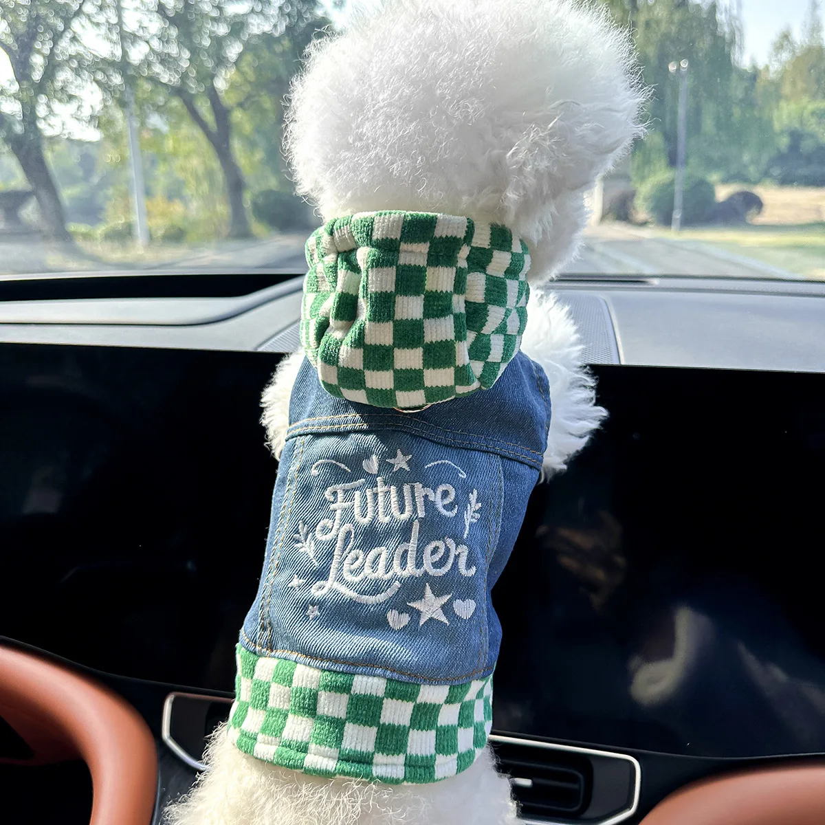 plaid-star-denim-b