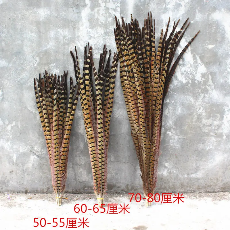 DIY Natural Wild Mountain Chicken Feather Wild Chicken Feather Cat Stick Tail Hair Mountain Chicken Tail 30-90cm