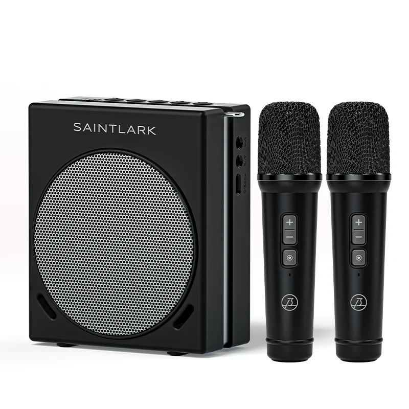 

30W High-Power Portable Dual Wireless Voice Amplifier
