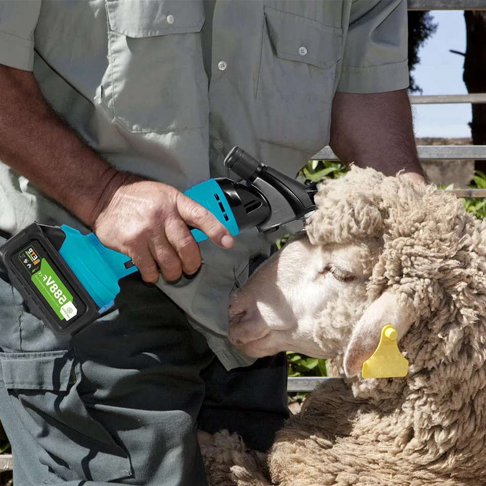 Laine Peignée Lames De Rechange Pour Tondeuse à Moutons - 13
