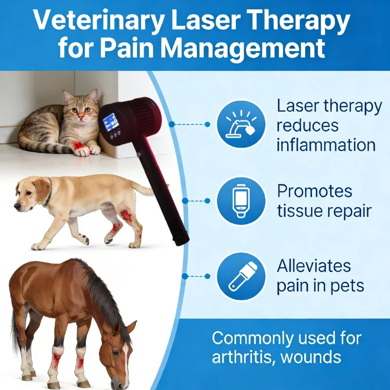 Professional Grade 1295mW Laser for Animals, 19x650nm+6x808nm for Equine Tendonitis Canine ACL Tear Feline Gingivitis Treatment