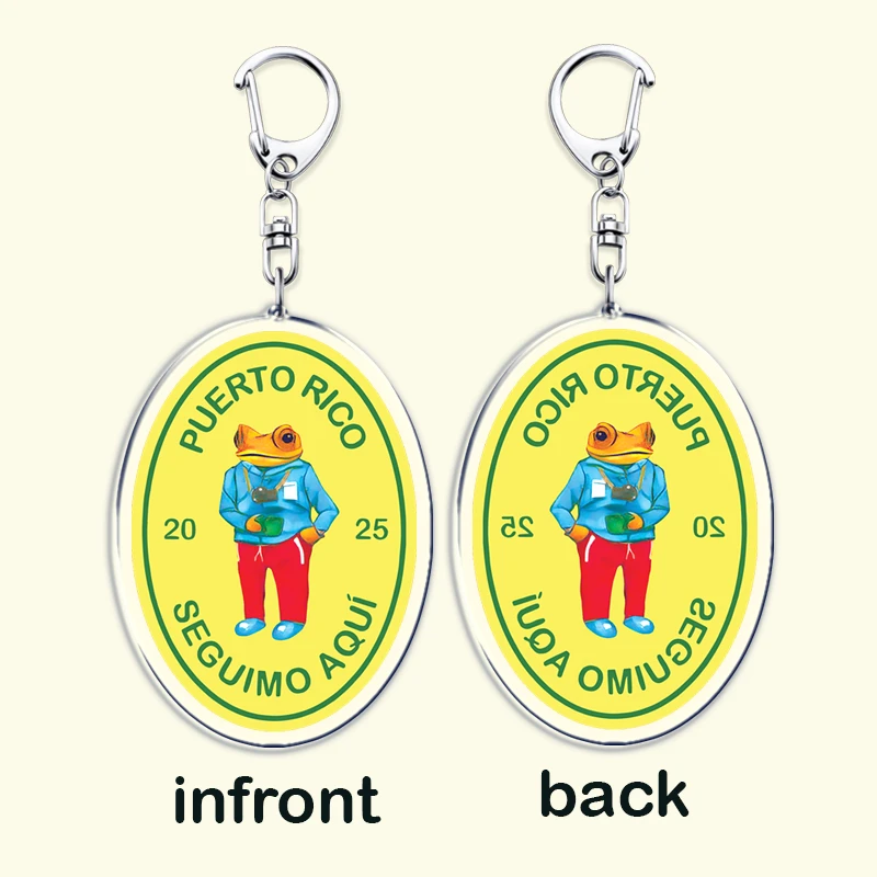 Hot Singer Puerto Rico Dtmf Reggaeton Music Keychains for Accessories Bag Debi Tirar Mas Fotos Frog Keyrings Jewelry Fans Gifts